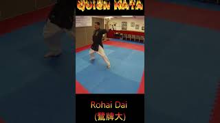 Kata Tutorial Rohai Dai karate karatekata rohaidai [upl. by Margie25]