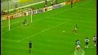 MEXICO VS ARGENTINA FINAL COPA AMERICA 1993 [upl. by Htiduj]