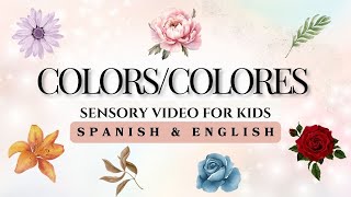 Color Practice For Kids  Practicar Colores Para Niños  4K [upl. by Zaremski]