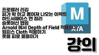 20241115 Maya 라이브 강의 무엇이든 물어보세요 [upl. by Marmawke992]