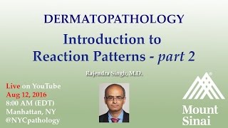 Dermatopathology Introduction to Reaction Patterns  Part 2 w Dr Singh [upl. by Wong88]