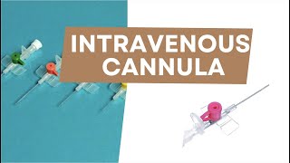 Intravenous cannula  Radiotherapy Edutech  Common terms in Oncology [upl. by Ahsilla]