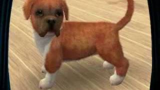 Nintendogs  Cats My dog Joey [upl. by Barkley317]