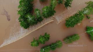 Maclean Flood Friday March 31st 2017 [upl. by Aibat]