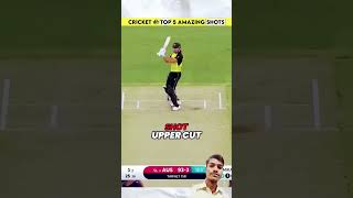 Top 5 best shot in cricket history cricket shotviral shorts shorts youtube video [upl. by Retseh]