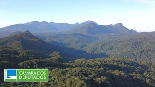 Debate sobre a restauração da Mata Atlântica – Meio Ambiente – 18052023 [upl. by Penman613]