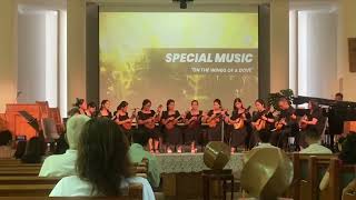 On The Wings of A Dove  performed by HMIG RONDALLA [upl. by Liuqnoj]