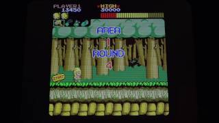 Wonder Boy Sega 1986 Arcade Spielautomat [upl. by Anemaj142]