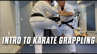 Use this method to learn karate grappling tegumi martialarts mma karate grappling [upl. by Lenad567]