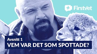 BAGGE SÖKER DJUR VEM VAR DET SOM SPOTTADE [upl. by Wolfgram114]