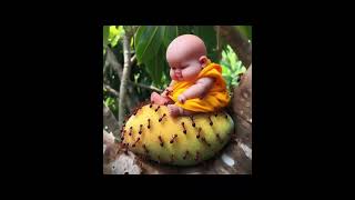 cute mistty babymonk cutebaby babyimages babymonk babymonk [upl. by Seyah]