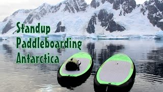 Standup Paddleboarding Antarctica [upl. by Crosley]