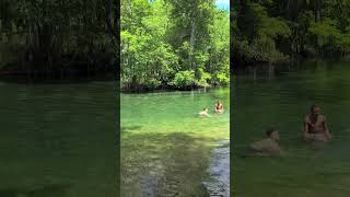 Ichetucknee Springs in Florida [upl. by Nylissej]