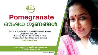 Pomegranate Benefits Malayalam  മാതള നാരങ്ങയുടെ ഔഷധ ഗുണങ്ങൾ  Dr Anju [upl. by Hamnet907]