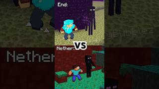 End vs Nether  Enderman Encounters minecraftshorts [upl. by Travus60]