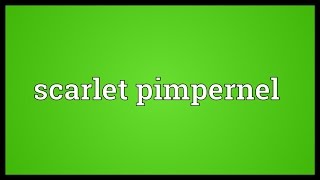 Scarlet pimpernel Meaning [upl. by Zetrauq]