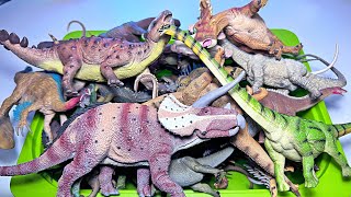 My CollectA Herbivorous Dinosaurs Collection [upl. by Mamie]