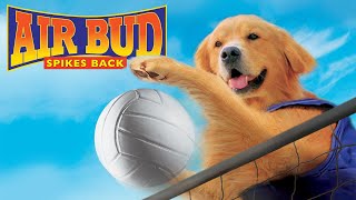 AIR BUD SPIKES BACK Movie  Español Latino [upl. by Aihsekyw345]