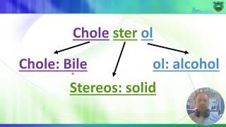 Metabolism of cholesterol 2023 2024 [upl. by Nnaerb]