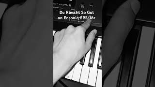 Du Riechst So Gut on Ensoniq EPS16 with original samples [upl. by Raseda]