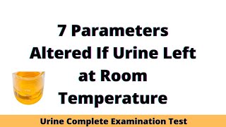 7 Urine Test Altered at Room Temperature I Urine Analysis Parameter Changes [upl. by Peirce656]