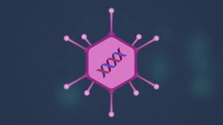 How do AdenovirusBased Vaccines work [upl. by Delanty]