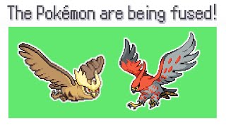 When a Talonflame loves a Noctowl [upl. by Dryfoos]