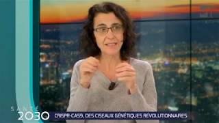 CRISPRCas9 des ciseaux génétiques révolutionnaires [upl. by Etselec992]