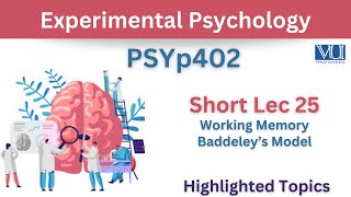 PSYp402 Short Lecture 25Working MemoryBaddeley ModelPsy402 Short Lec 25psyp402 Lecture 25Final [upl. by Schlicher]