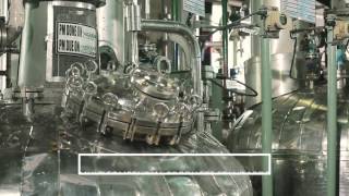 cGMP Manufacturing in Panoli India [upl. by Kathrine]