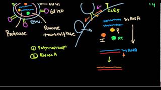 quotThe Evolution of HIV Testing Then Now and Beyondquot [upl. by Paugh]