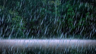 Rain on lake sounds Calming rain noise for sleep relax study  10 hours [upl. by Oiromed166]