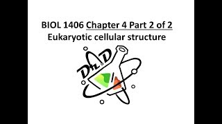 Chapter 4 part 2 of 2 Cell Structure [upl. by Con]