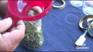 Canning Snap Beans using Tattler Reusable Lids  May 2011  The Vegetable Garden [upl. by Kreis]