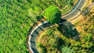 Best place for Road Trip  Cherambadi  Drone photography [upl. by Vona]