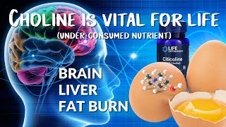 Choline health benefits choline is an essential nutrient Liver and brain health Fat burning [upl. by Nikolas]