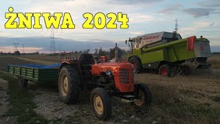 Strzeliła opona w załadowanej przyczepie❌❗ Żniwa 2024🚜 Ursus c 4011 w transporcie🔥 Cz1🎥 [upl. by Sproul]