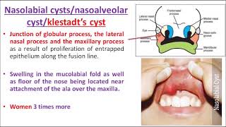 ORALPATH CHAP3 PART 3 ODONTOGENIC CYSTS AND TUMOURSENGLISH [upl. by Ahsac]