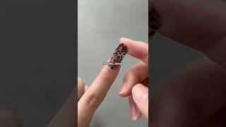 How to apply viral nail gel sticker 😍💅meesho meeshohaul nails trendingnails trendingshorts [upl. by Ayotan]