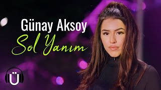 Günay Aksoy  Sol Yanım Official Music Video [upl. by Atauqal425]