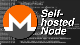 How to setup a Monero Node And connect to it from remote [upl. by Ynej]