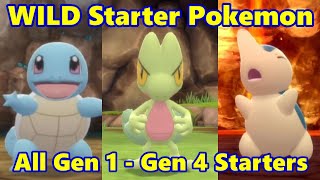 How to Find WILD STARTER POKEMON in Pokemon Brilliant Diamond amp Shining Pearl Generation 1  4 [upl. by Xxam44]