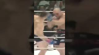 Mirko Cro Cop яркие победы [upl. by Ahsinit908]