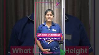 What Is Fundal Height During Pregnancy [upl. by Supat]