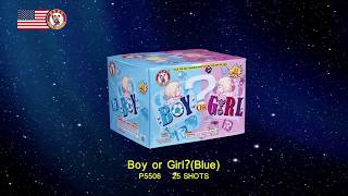 Boy or Girl Cake  Boom Town Fireworks [upl. by Nymzaj]