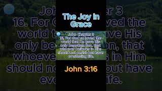 John 316 NKJV [upl. by Ydeh]