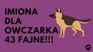 Imiona Dla Owczarka Niemieckiego 43 Fajne  Imionowo [upl. by Oakleil598]