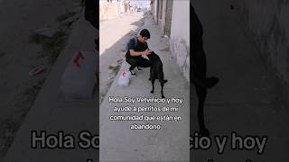 Ayudando a perritos callejeros 🐾 vetlife ayudaanimal [upl. by Oalsecnew]