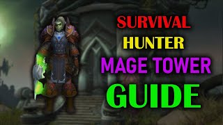 Survival Hunter  Mage Tower  Guide  Voice  Dragonflight Season 4 1027 [upl. by Ttik312]