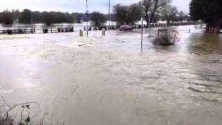 Thames floods  Chertsey Mead inundated [upl. by Dnob]